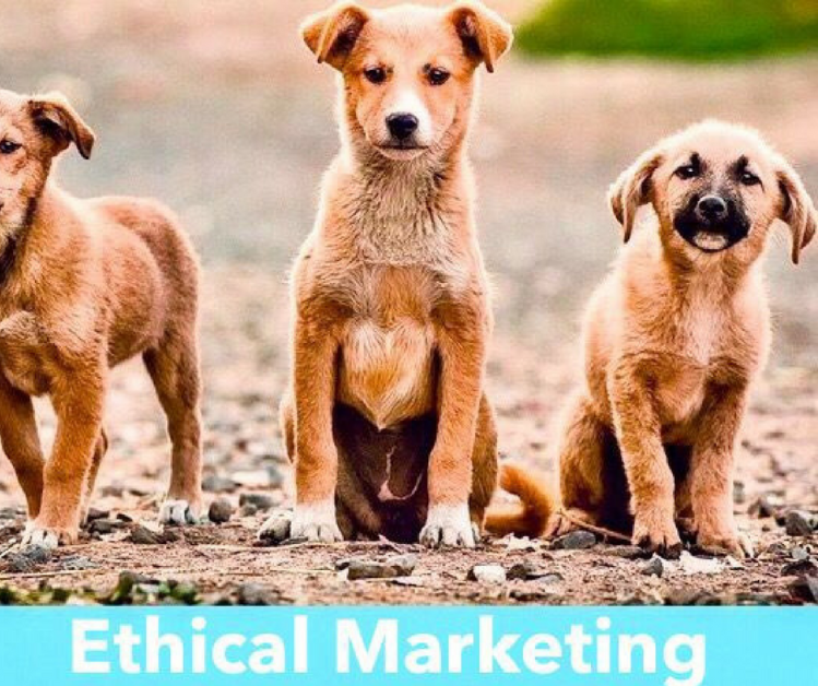 D711E90D-CA9C-402C-A038-E54E28A6132B